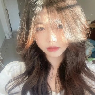 疯狂的狮王海报